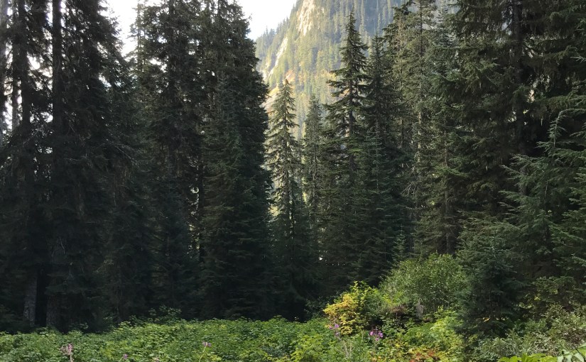 Can The Insurance Company Cancel My Policy For Late&nbsp;Premiums?