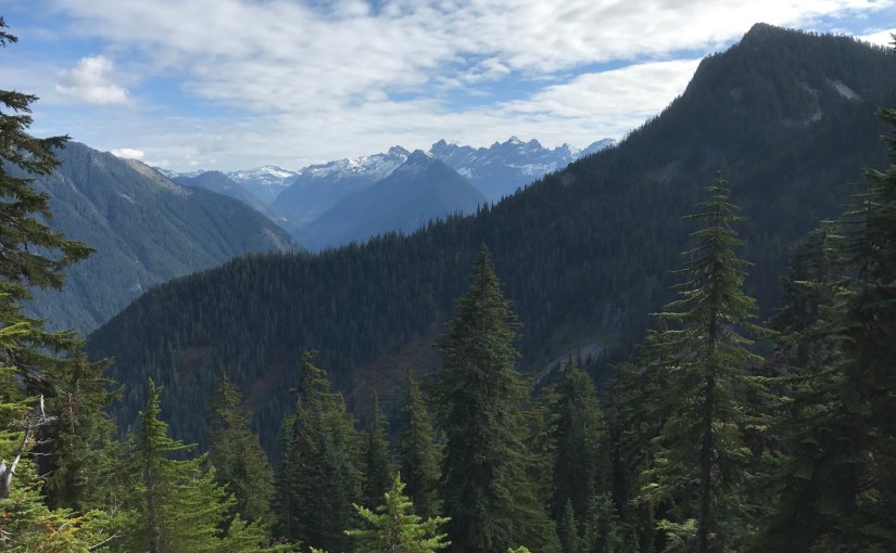 COVID-19 Insurance Updates