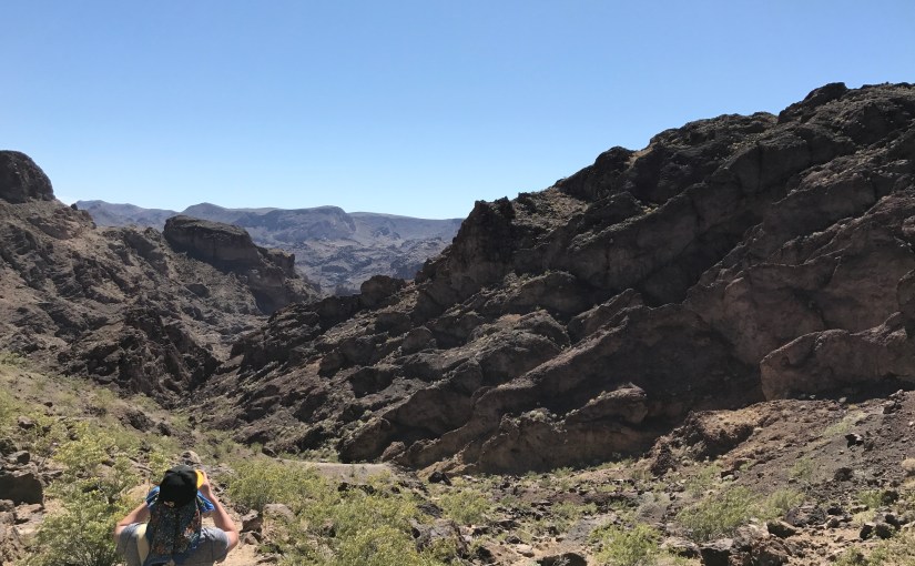 Court Rules School Buses are Not “Automobiles” Under State Farm Insurance Policy Fine&nbsp;Print