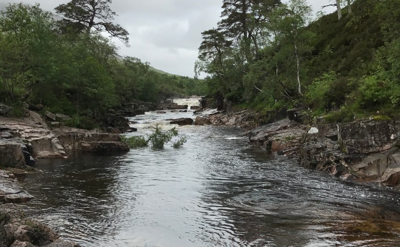 Does ERISA Apply to COBRA&nbsp;Coverage?