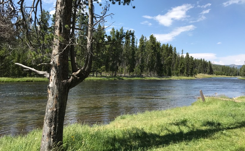 Why Won’t Your Government-Mandated Flood Insurance Pay Your&nbsp;Claims?