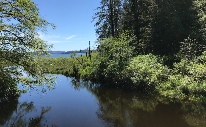 Washington Court of Appeals Emphasizes Insurers May Not Categorically Ignore Their Insureds’ Treating Physicians When Deciding Whether Injuries Are&nbsp;Covered