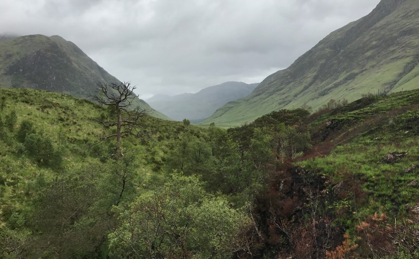 State Laws Automatically Revoking Spousal Life Insurance Benefits Upon Divorce Upheld By U.S. Supreme&nbsp;Court