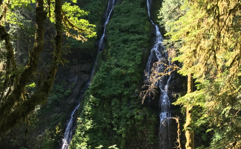 Medical Proof Required to Deny ERISA Claims Based on Intoxication Exclusion Says Fifth&nbsp;Circuit