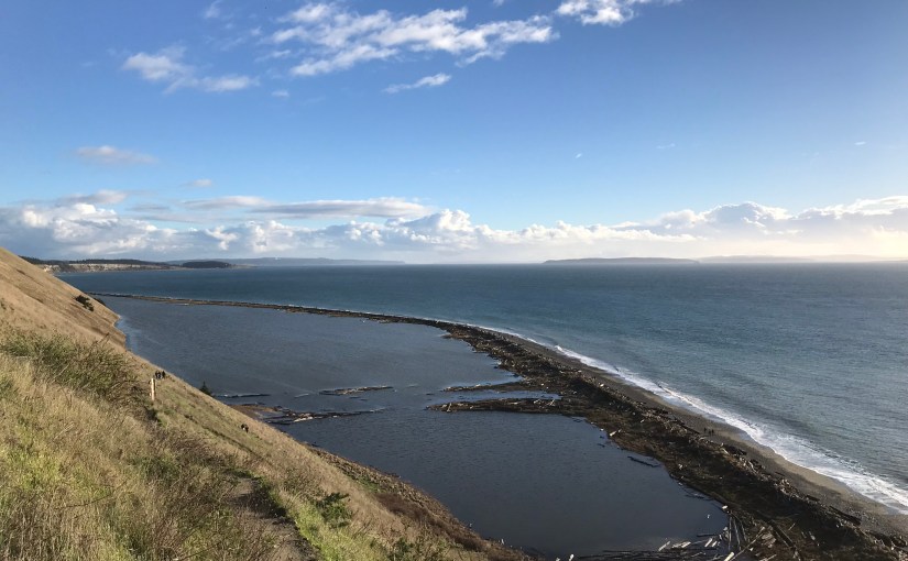 Happy New Year – Washington Health Insurers Are Now Required to Expand Contraceptive&nbsp;Coverage