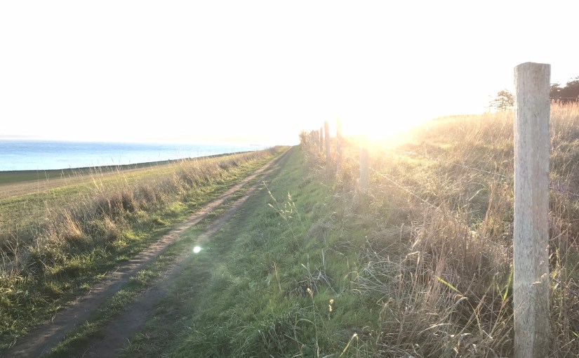 Court Ruling Emphasizes Common Sense Reading of Insurance Policy in Win for&nbsp;Policyholder