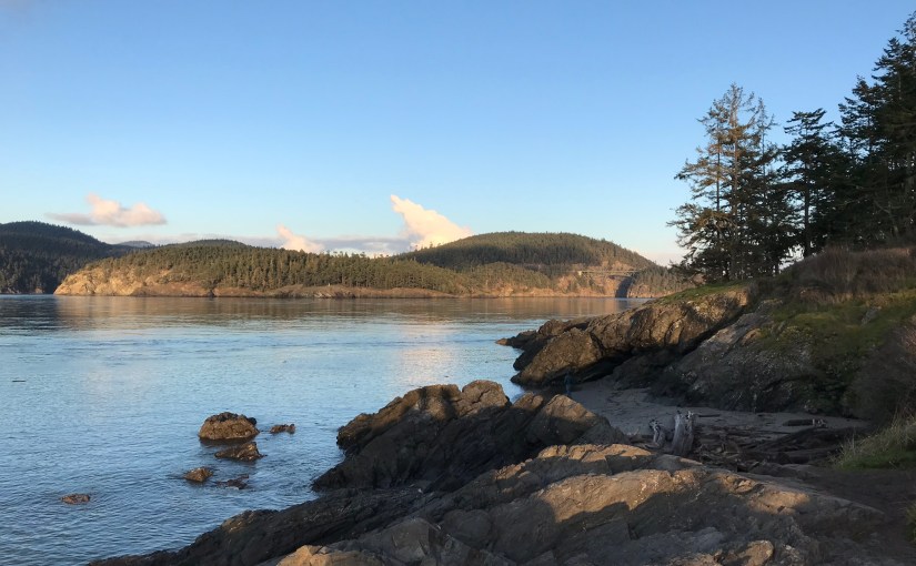 Do I Have To Cooperate With My Insurer After A&nbsp;Loss?