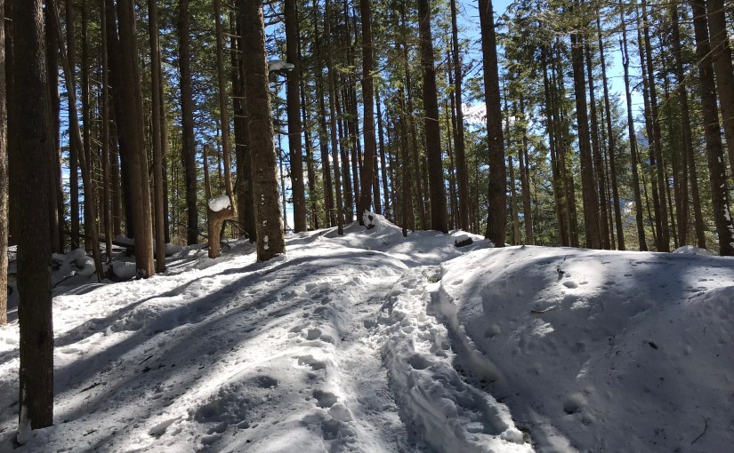 UnitedHealth Unlawfully Denied Mental Health Treatment, Judge&nbsp;Finds