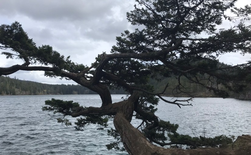 Insurer’s Misreading of Policy Terms Results In Win For&nbsp;Policyholder