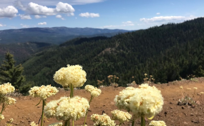 ERISA Plans Can’t Discriminate Against Domestic Partners, Court&nbsp;Rules