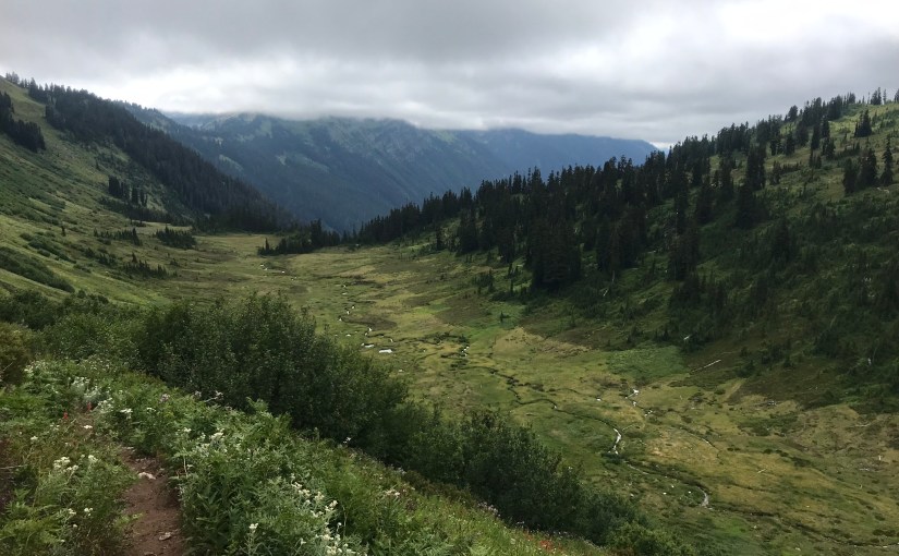 Getting What You Pay For With Your Insurance&nbsp;Premiums