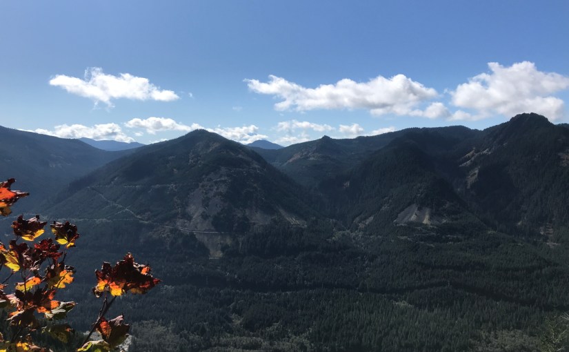 Washing State’s “homegrown” health insurers credited with keeping rate increases&nbsp;low