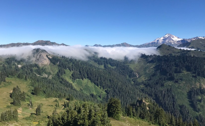 Know Your Rights Under Washington’s Insurance Fair Conduct&nbsp;Act