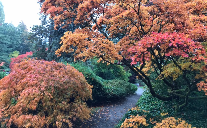 Court of Appeals Confirms Insured Can Reform Policy Language to Provide The Coverage The Insured&nbsp;Purchased