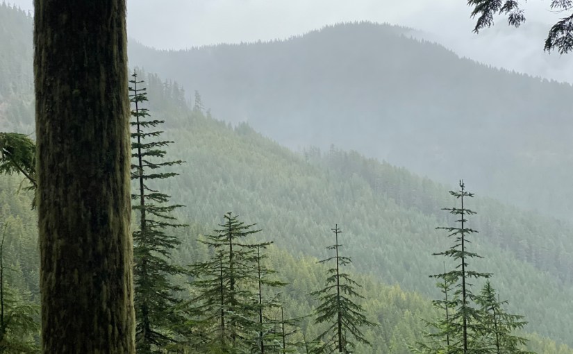 Ninth Circuit Emphasizes Importance of ERISA Claims-Handling Regulation in Reversing LTD Benefit&nbsp;Denial