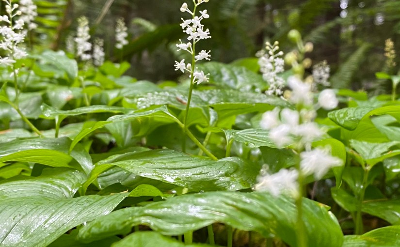 Court Confirms Health Insurers Can’t Sell Discriminatory Insurance&nbsp;Policies