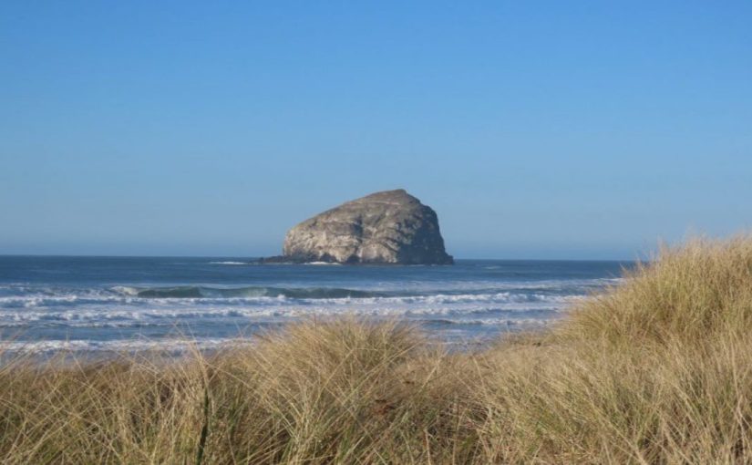 Bicyclists Covered Under Insurance Policies That Cover “Pedestrians” Says Washington Supreme&nbsp;Court