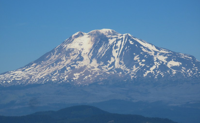 Ninth Circuit Confirms ERISA Plans Cannot Assert New Rationales for Denying Benefits After They Get&nbsp;Sued