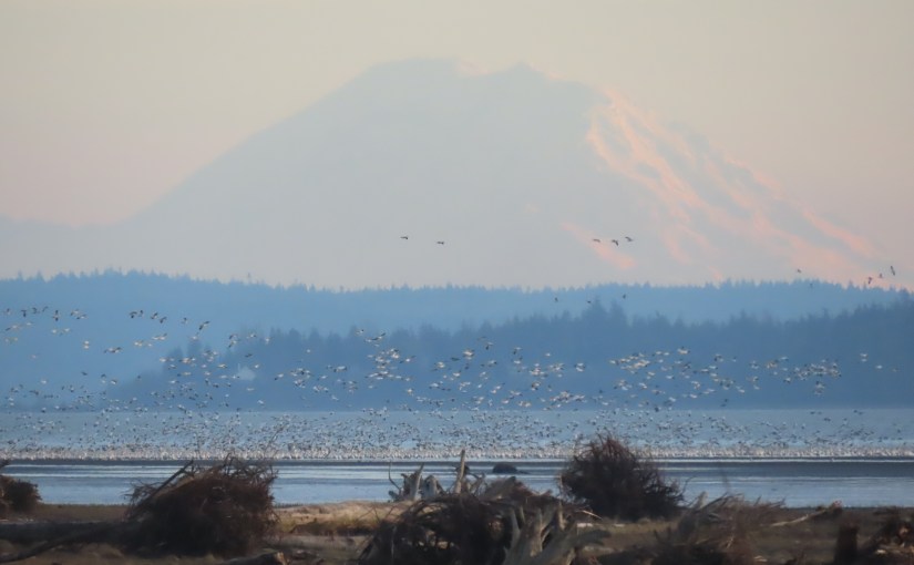 Insurers Still Breaking Mental Health Coverage Rules Says Department of&nbsp;Labor