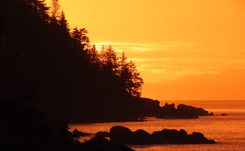 AI And Racial Bias In Insurance&nbsp;Claims