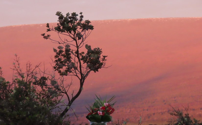 Ninth Circuit Ruling Elevates Hidden Fine Print to Reduce ERISA Plan&nbsp;Benefit