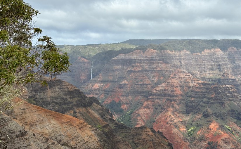 Washington Court of Appeals Emphasizes Distinction Between “Replacement Cost” and “Actual Cash Value” in Homeowners’ Insurance&nbsp;Coverage